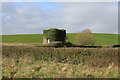 Ivy Clad Structure below Embankment of Alston Reservoir No. 2