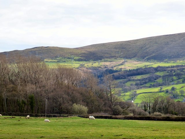 Sheep at Aber Ogwen