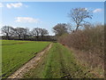 Farm Track and Field Boundary, West Hanningfield