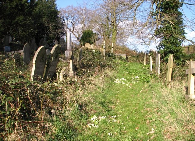 Primroses On A Path In Rosary Cemetery © Evelyn Simak Cc By Sa 2 0