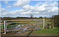 Field entrance and footpath, Fern Bank