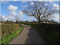 Lane near Fern Bank Farm