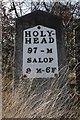 Old Milestone by the former A5, Heath Farm, Great Ness parish