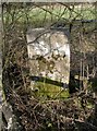 Old Milestone by the B2070, The Causeway, Landpits Oak