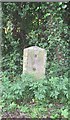 Old Milestone by the A3057, Romsey Road, Nursling