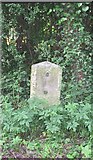 SU3816 : Old Milestone by the A3057, Romsey Road, Nursling by K Lawrence