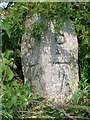 Old Milestone by the B7085, Dourie, Mochrum parish