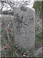 Old Milestone by the A71, Galston parish