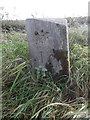 Old Milestone north of Trabbochburn, Stair parish