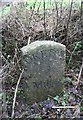 Old Milestone by the A3079, Holsworthy Road, west of Okehampton