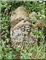 Old Milestone by the A10, Ermine Street, Chipping Hill, Buckland