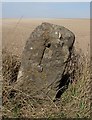 SU2153 : Old Milestone by Luggershall Road, Gore Down, Everleigh by A Rosevear