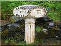 Old Milepost by the B8007, Glenborrodale, Ardnamurchan Parish