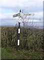 Direction Sign - Signpost by Ramsdown Cross, Milton Abbot