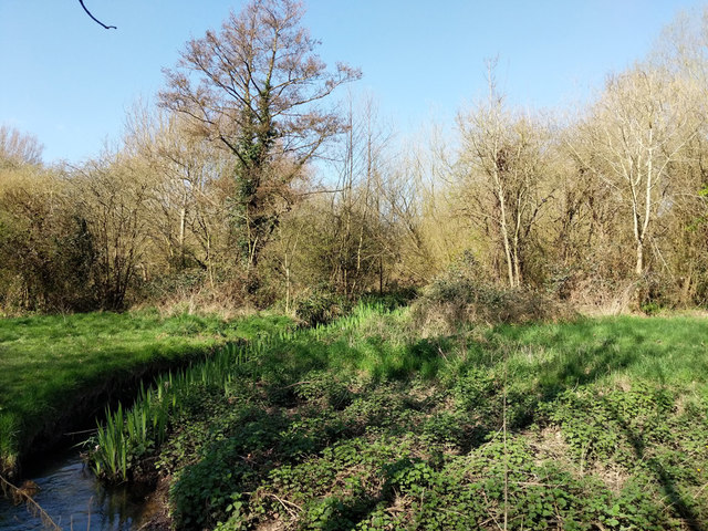 Stream through Waterlea Meadow © Robin Webster cc-by-sa/2.0 :: Geograph ...