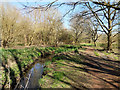 Stream through Waterlea Meadow