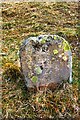 Old Milestone by the B711, north of Buccleuch, Ettrick parish