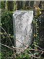 Old Milestone by the B7037, south of Galston