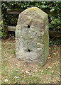 Old Milestone by the A426, Dunchurch Road, Rugby parish