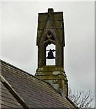 SH4473 : St Cristiolus's belltower by Gerald England