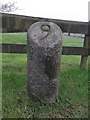 Old Milestone by the A90, Crimond