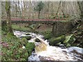 Footbridge over Kingswood Burn