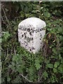 Old Milestone north of Hallowchapel, Colmonell parish