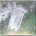 Old Milestone by the A358, Donyatt