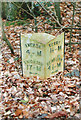 Old Milepost by the B4368, Cilthriew, Pentre, Kerry parish