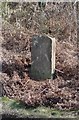 Old Milestone by Drybrook Road, Drybrook parish