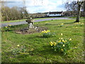 Looking to Shipbourne Common