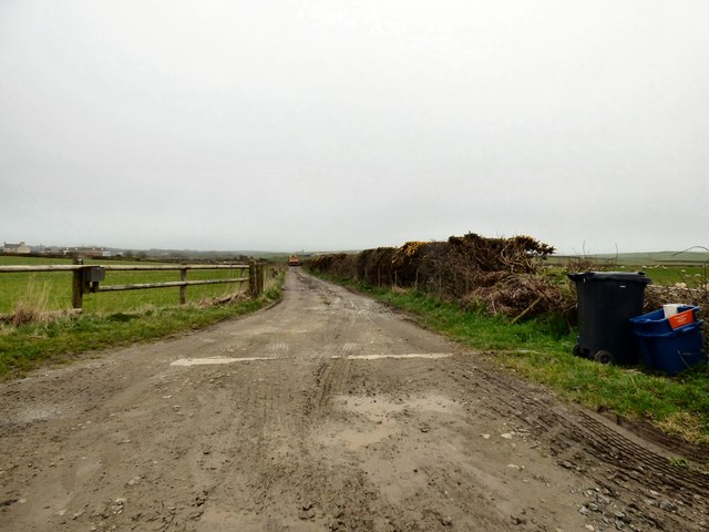 Farm track to Bottan Fawr