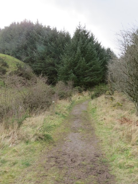 Path through Pitmedden Forest