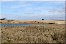 NX1269 : Penwhirn Reservoir by Billy McCrorie