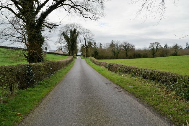 Ballynasaggart Road