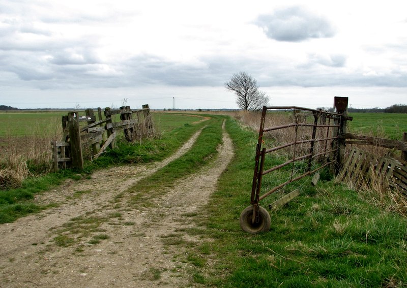 Farm Track In The Marshes © Evelyn Simak Cc-by-sa/2.0 :: Geograph ...