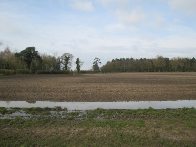 Wet edge to sown field north of ... © Martin Dawes :: Geograph Britain ...