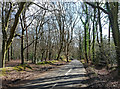 Gypsy Lane near Hedgerley (1)