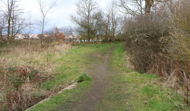 The Serpentine Walk, Lower Largo