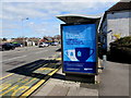 ST3090 : Welsh-only advert on a Malpas Road bus shelter, Newport by Jaggery