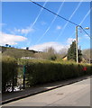 Allotments perimeter hedge, Commercial Street, Senghenydd