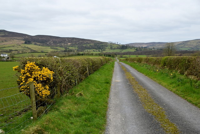 Whins along Shanog Road © Kenneth Allen cc-by-sa/2.0 :: Geograph ...