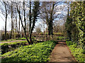 Path by Broadfield Brook, Crawley