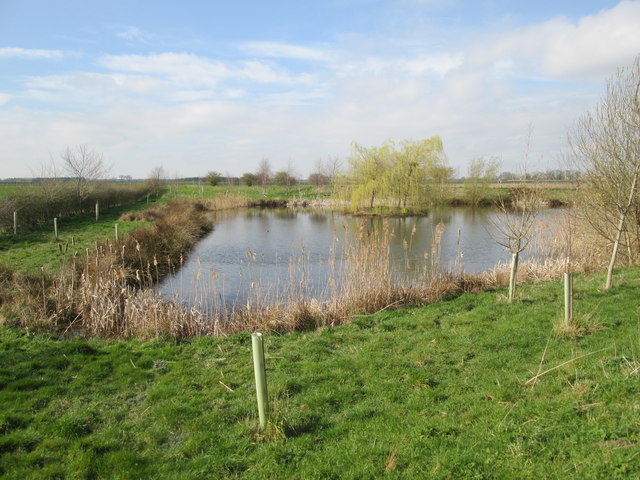 Pond established in a field corner © Martin Dawes :: Geograph Britain ...