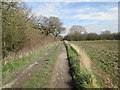 Access  track  toward  Oak  Tree  Farm