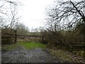 Field gate near Sheepwash