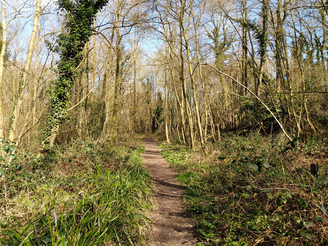 Woodland path, Broadfield Park © Robin Webster cc-by-sa/2.0 :: Geograph ...