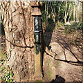 Old gatepost, Broadfield Park