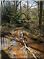 Waterlogged path, Broadfield Park