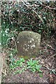 Old Milestone off the A386, Five Oaks, near Folly Gate